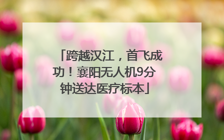跨越汉江，首飞成功！襄阳无人机9分钟送达医疗标本