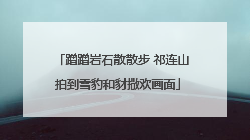 蹭蹭岩石散散步 祁连山拍到雪豹和豺撒欢画面