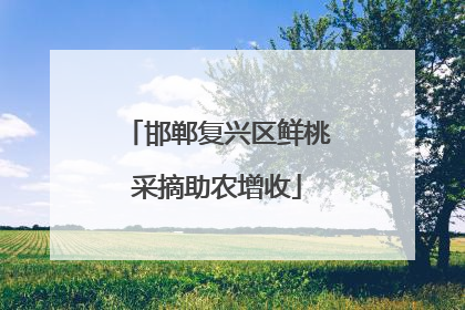 邯郸复兴区鲜桃采摘助农增收