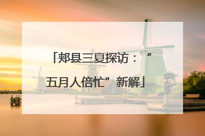 郏县三夏探访：“五月人倍忙”新解