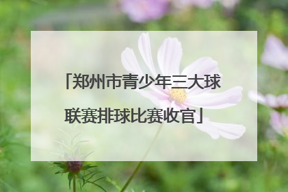 郑州市青少年三大球联赛排球比赛收官