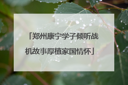 郑州康宁学子倾听战机故事厚植家国情怀