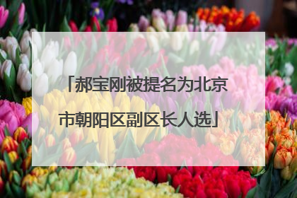 郝宝刚被提名为北京市朝阳区副区长人选