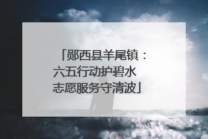郧西县羊尾镇：六五行动护碧水 志愿服务守清波
