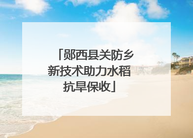 郧西县关防乡新技术助力水稻抗旱保收