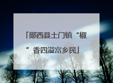 郧西县土门镇“椒”香四溢富乡民