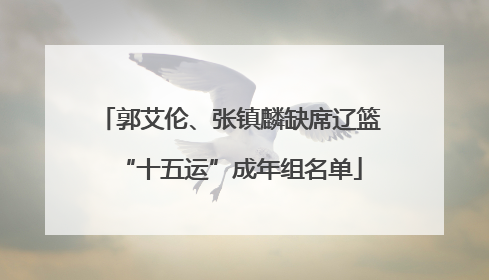 郭艾伦、张镇麟缺席辽篮“十五运”成年组名单