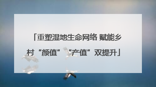 重塑湿地生命网络 赋能乡村“颜值”“产值”双提升