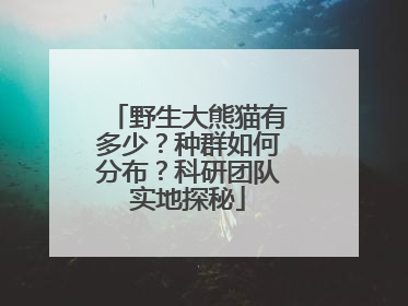 野生大熊猫有多少？种群如何分布？科研团队实地探秘