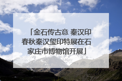金石传古意 秦汉印春秋秦汉玺印特展在石家庄市博物馆开展
