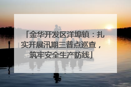 金华开发区洋埠镇：扎实开展汛期三普点巡查，筑牢安全生产防线