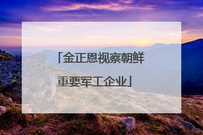 金正恩视察朝鲜重要军工企业