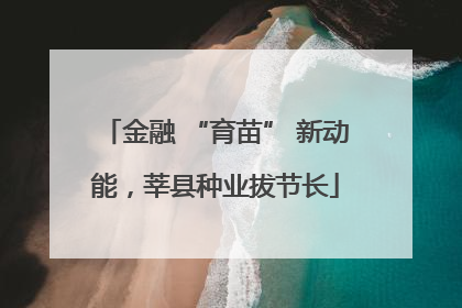金融 “育苗” 新动能，莘县种业拔节长