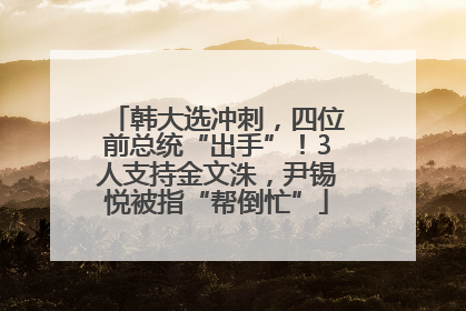 韩大选冲刺，四位前总统“出手”！3人支持金文洙，尹锡悦被指“帮倒忙”