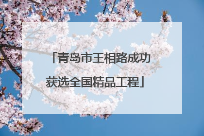 青岛市王相路成功获选全国精品工程