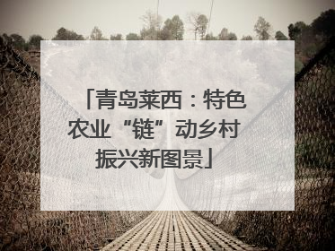 青岛莱西：特色农业“链”动乡村振兴新图景