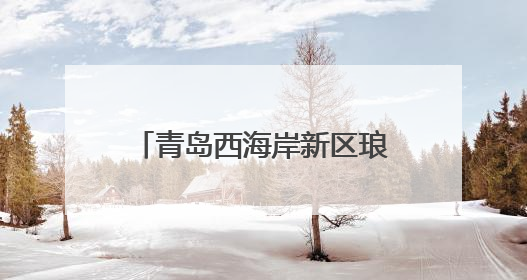 青岛西海岸新区琅琊镇：从传统滋味到品质升级，解锁美食背后的文化密码