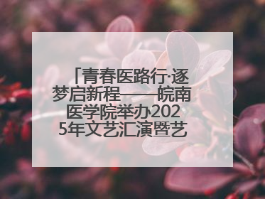 青春医路行·逐梦启新程——皖南医学院举办2025年文艺汇演暨艺术党课