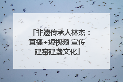 非遗传承人林杰：直播+短视频 宣传建窑建盏文化