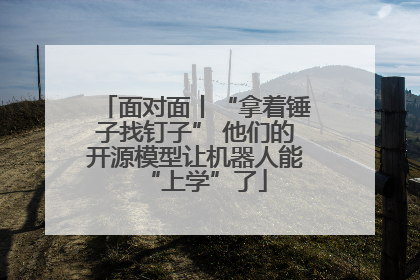 面对面丨“拿着锤子找钉子” 他们的开源模型让机器人能“上学”了