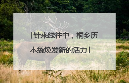 针来线往中，桐乡历本袋焕发新的活力