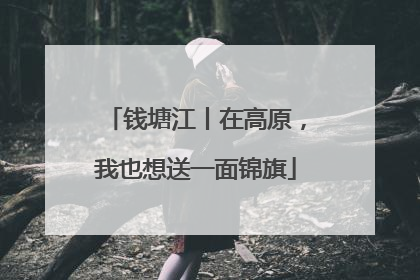 钱塘江丨在高原，我也想送一面锦旗