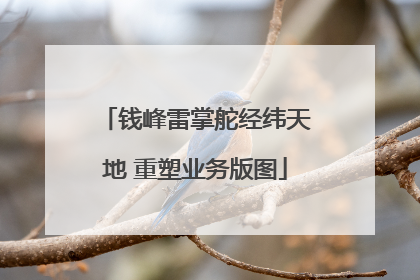 钱峰雷掌舵经纬天地 重塑业务版图