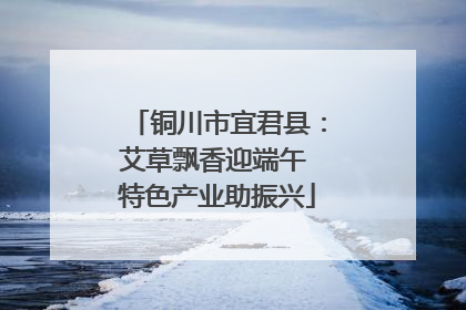 铜川市宜君县：艾草飘香迎端午 特色产业助振兴