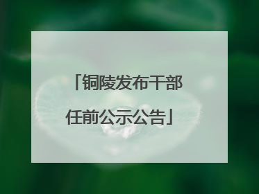 铜陵发布干部任前公示公告