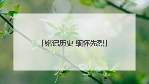 铭记历史 缅怀先烈