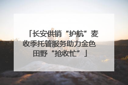 长安供销“护航”麦收季托管服务助力金色田野“抢收忙”