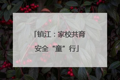 镇江：家校共育 安全“童”行
