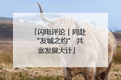 闪电评论｜同赴“友城之约” 共襄发展大计
