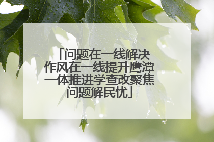 问题在一线解决 作风在一线提升鹰潭一体推进学查改聚焦问题解民忧