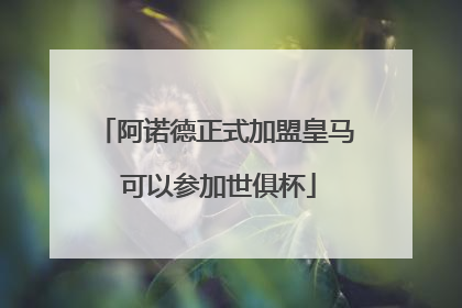 阿诺德正式加盟皇马 可以参加世俱杯