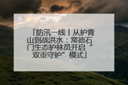 防汛一线丨从护青山到战洪水：常德石门生态护林员开启“双重守护”模式