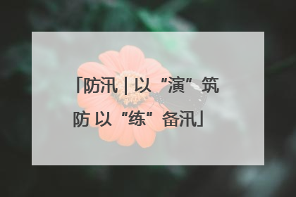 防汛｜以“演”筑防 以“练”备汛