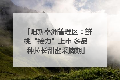 阳新率洲管理区：鲜桃“接力”上市 多品种拉长甜蜜采摘期