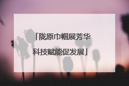 陇原巾帼展芳华 科技赋能促发展
