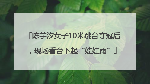 陈芋汐女子10米跳台夺冠后，现场看台下起“娃娃雨”