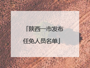 陕西一市发布任免人员名单