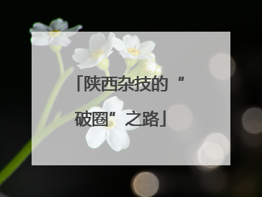 陕西杂技的“破圈”之路