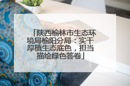 陕西榆林市生态环境局榆阳分局：实干厚植生态底色，担当描绘绿色答卷
