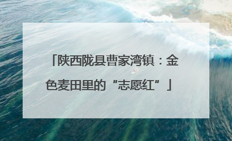 陕西陇县曹家湾镇：金色麦田里的“志愿红”