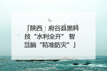 陕西：府谷县黑科技“水利全开” 智慧脑“精准防灾”
