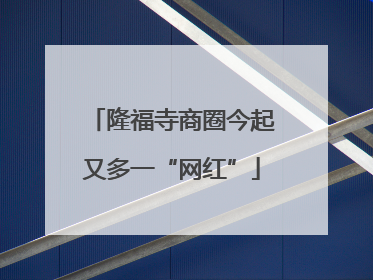 隆福寺商圈今起又多一“网红”