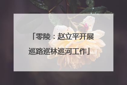 零陵：赵立平开展巡路巡林巡河工作
