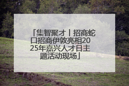 集智聚才丨招商蛇口招商伊敦亮相2025年嘉兴人才日主题活动现场