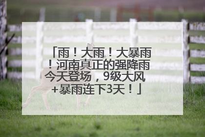 雨！大雨！大暴雨！河南真正的强降雨今天登场，9级大风+暴雨连下3天！