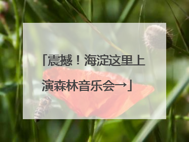 震撼！海淀这里上演森林音乐会→